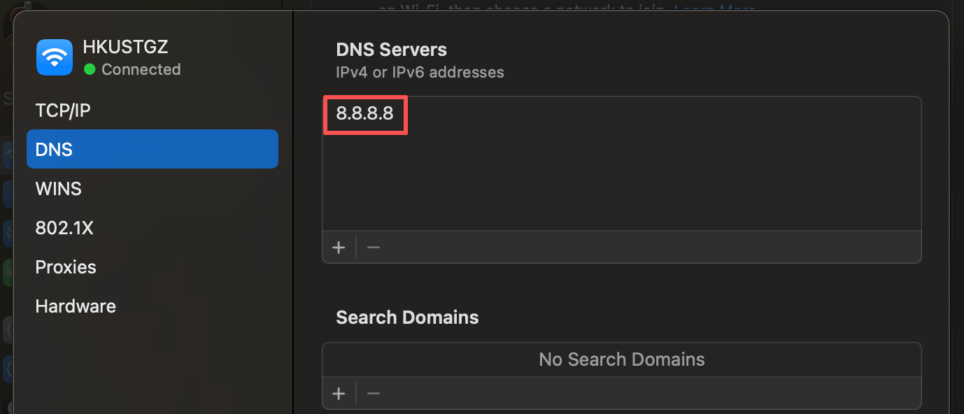 dns server